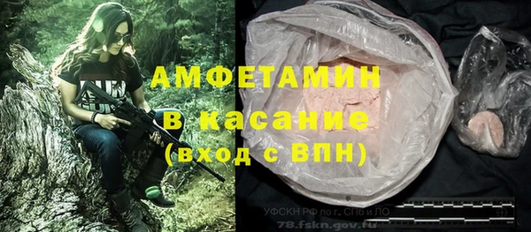 винт Аркадак