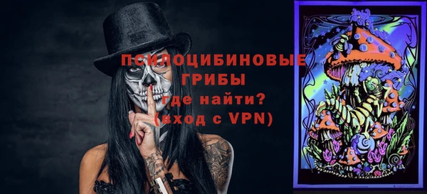 винт Аркадак