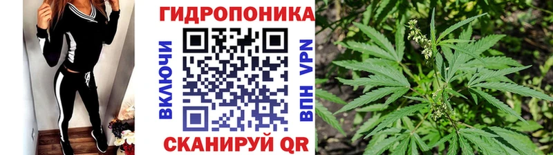 где продают наркотики  Рассказово  МАРИХУАНА THC 21% 